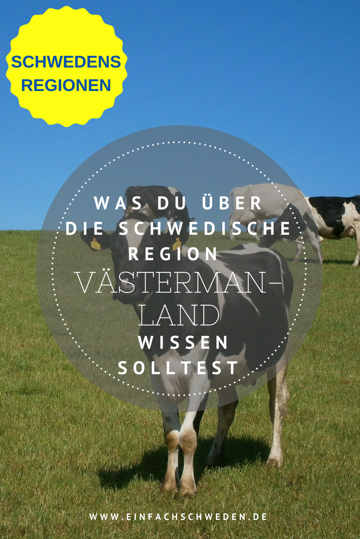 Västergötland die Landschaft mit den Milchkühen I einfachschweden.de