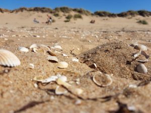 Strand Ängelholm Schweden Sand