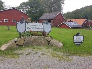 Ööströ Schaffarm Schweden