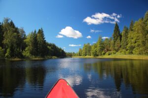 Kanu fahren Schweden Natur Fluss