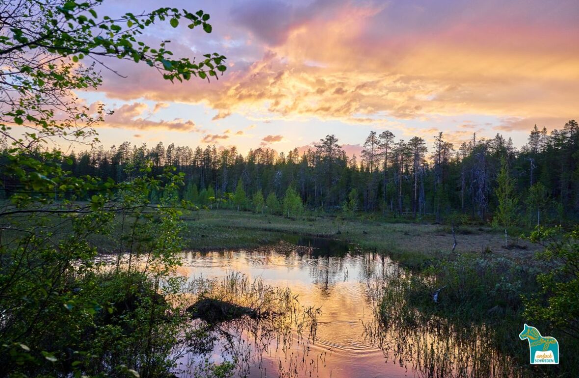 Schweden See Natur Himmel Sonnenuntergang Wald